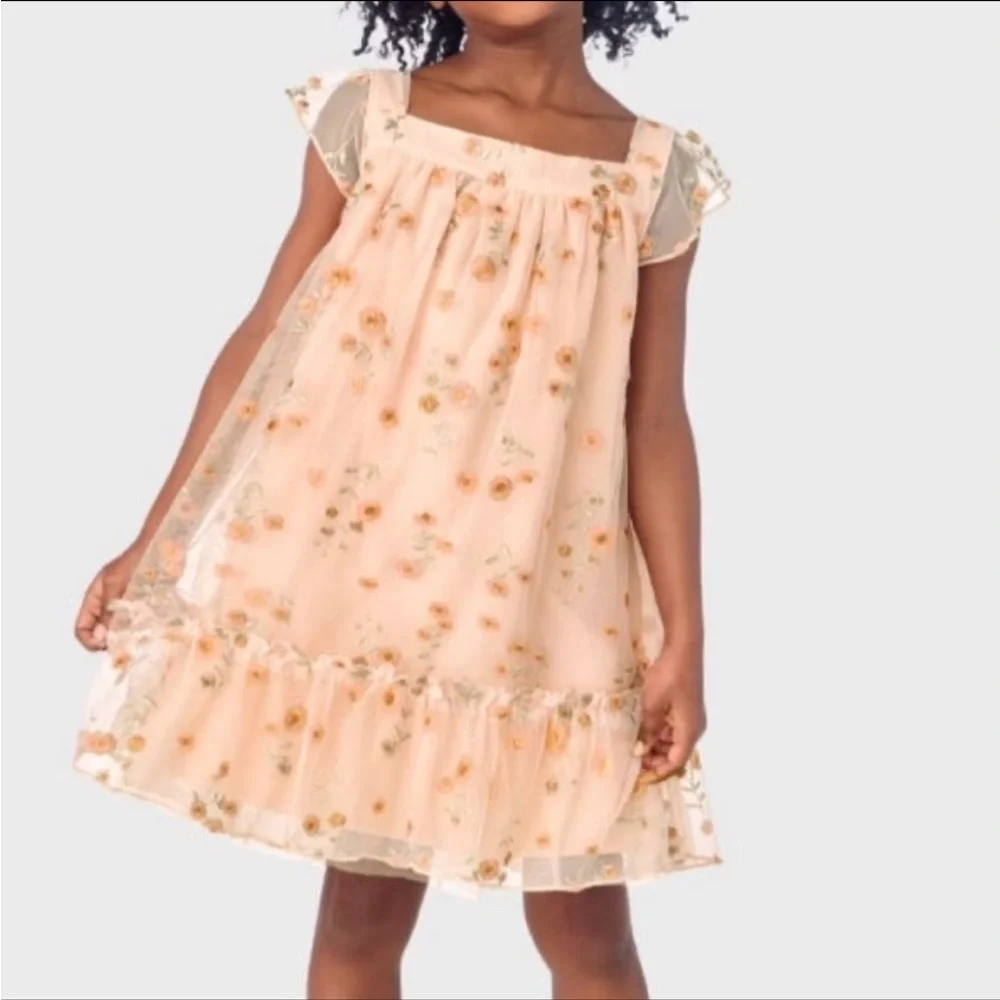 Gymboree Girls Embroidered Floral Mesh Ruffle Dress Size 10